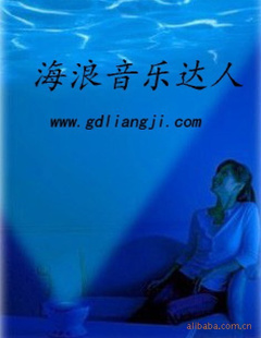 ִˣͶӰǣ˽˴ͶӰ