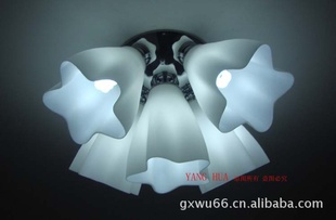 5ͷW43-5