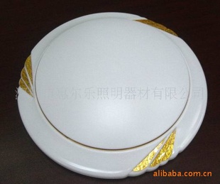 ֱƷ񣬼12W216LED
