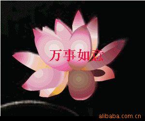 ṩЬġЬӹ