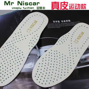 Mr.NiscarţƤЬЬ˶ЬʪSY1