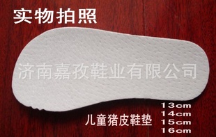 (α)ͯƤ͸ųЬ泤13-16cm