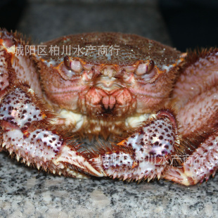 ʻëзʴëззࡢˮƷ