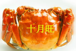 κբз/բз/ʮʮբз3ĸз
