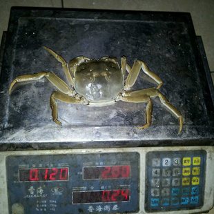 բз֮ĸз2.5һբзֻ