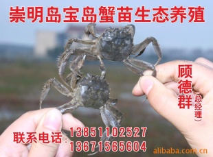_lз_з磡