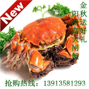 κբзĸз1.5-1.912.8Ԫ/10ģ