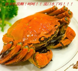 Ǻκ̫ɢװբзĸз2.8-2.9*ֻ