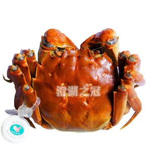 Բκբз2.5-2.9ĸзӭ˷բз