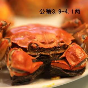 Ԥκբзʻˮз3.9-4.1زؼ