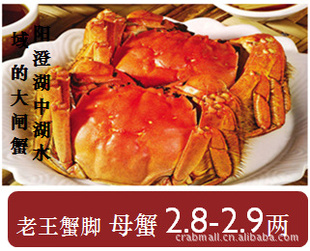 κբзˮĸ2.8-2.9ԲӪ¼Ʒ