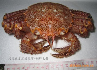 ʻëз