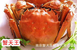 ڹ̳Ǻз䣩