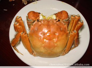 κբз