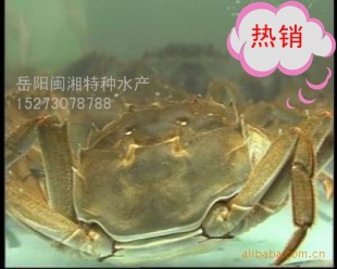 ˮˮ_з/ëз/з/բз~~_