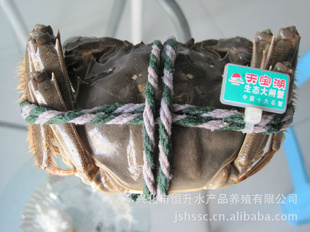 ԲԹ챦բз3.5ĸзʮз