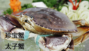 ʼô䱦з̫з