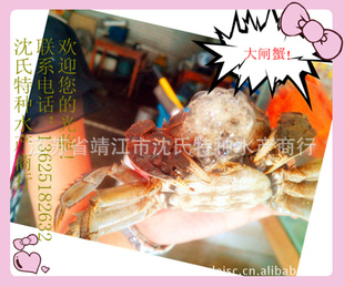 8ֻϰʣκբз˻ԣ