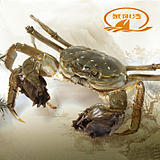 κբзз1.7-2.0ֱֻ