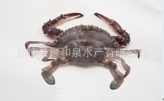 ƺз100--200g/200--300g/
