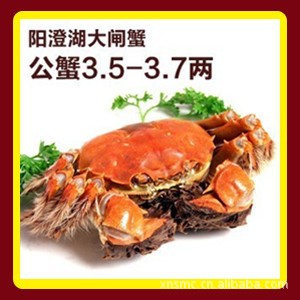 Ԥκբзз3.5-3.7