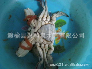 Ʒзࣩ150g/