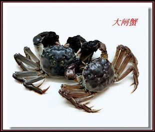 Ǻκ̫ɢװբзĸз1.2-1.5*ֻؼ
