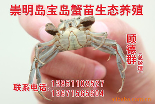 ڳˮϵբзз!!!