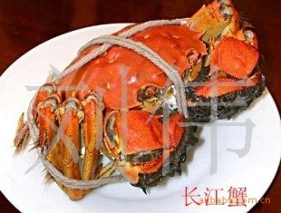 ڽκբз