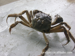 ̫з̫ͬբзƷ