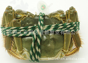 оװκբз2.7ĸз