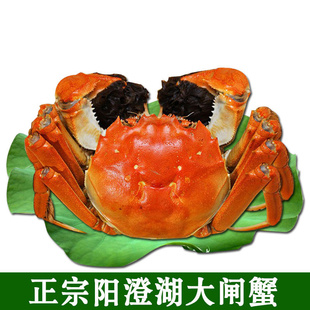 κբзʻֱз3.9-4.2ֻ10ֻ