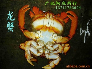 зϻз