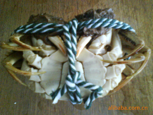 κբзڵǣձŷޣȹҡ