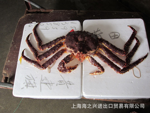 Ųڻз-