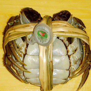 κբз񿨣ڶлŶ!4008115778