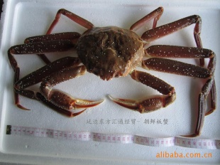 ʻз