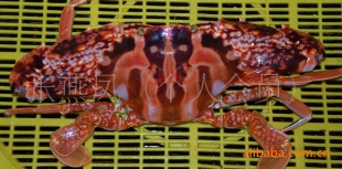 ˮƷз컨з