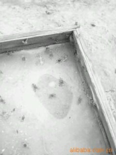 ˮϵлз(з