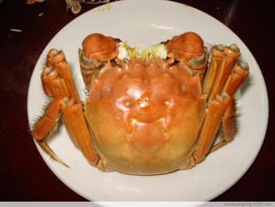 բзƷ.բз.лբз.ʰζբз