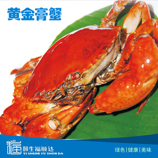 ŲڻƽзƵɹ/֮ѡ