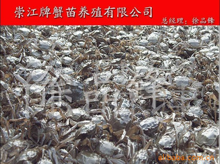_ձ¼¡lз硢_з硢硢