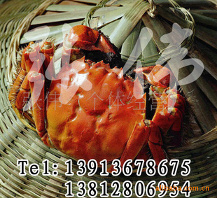 κբзĸз2.0-2.4ʮ3~