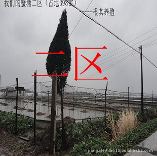 ڳϵբзֳأз̴ģ