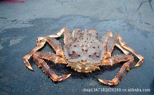 ڵз||з