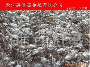 _lз硢_з硢