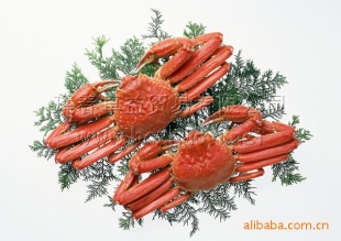 ںʳһз1.5~2.5