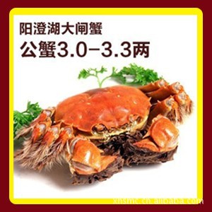 Ԥκբзз3.0-3.3
