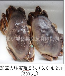 ô䱦здŲ㱫Ϻ