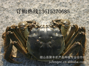 ΢ɽзբзëз